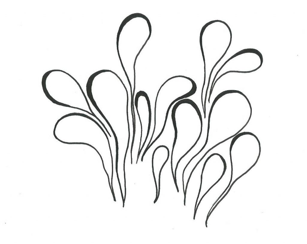 alice-le-guiffant-cnv-atelier-de-pratique