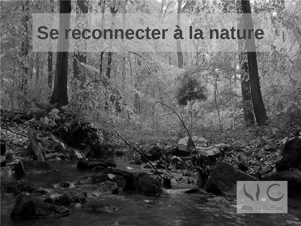 alice-le-guiffant-se-reconnecter-a-la-nature