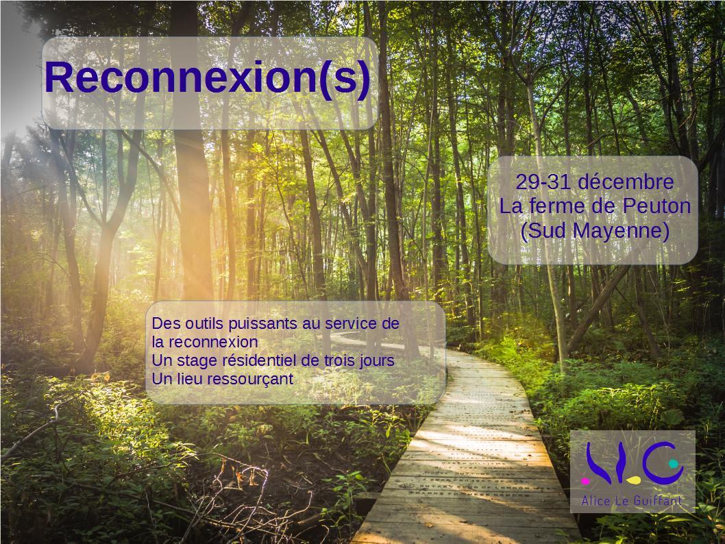 Lire la suite à propos de l’article Reconnexion : un stage pour terminer l&rsquo;année