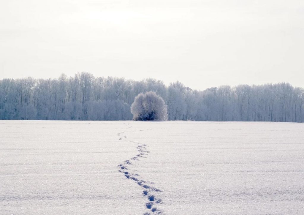 alice-le-guiffant-stage-reconnexions-traversée-pas-neige