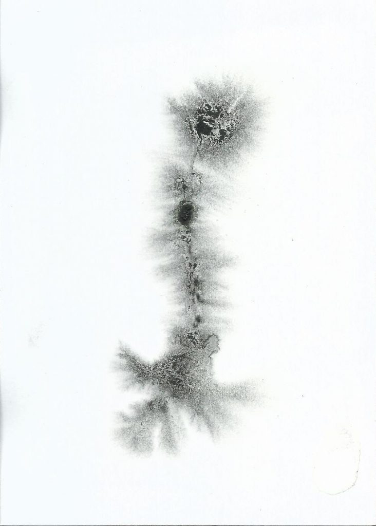 alice-le-guiffant-marie-a-formes