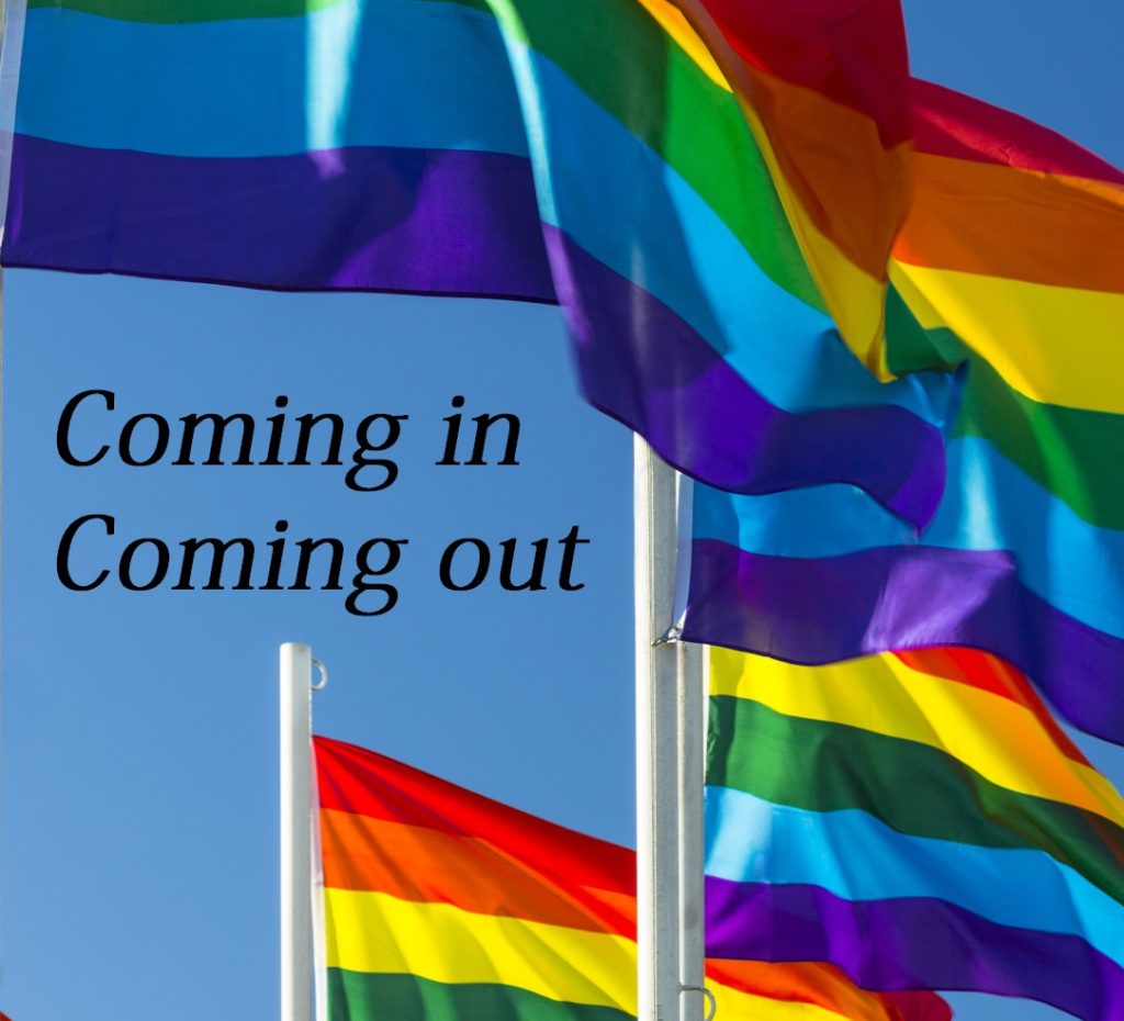 alice-le-guiffant-coming-in-coming-out
